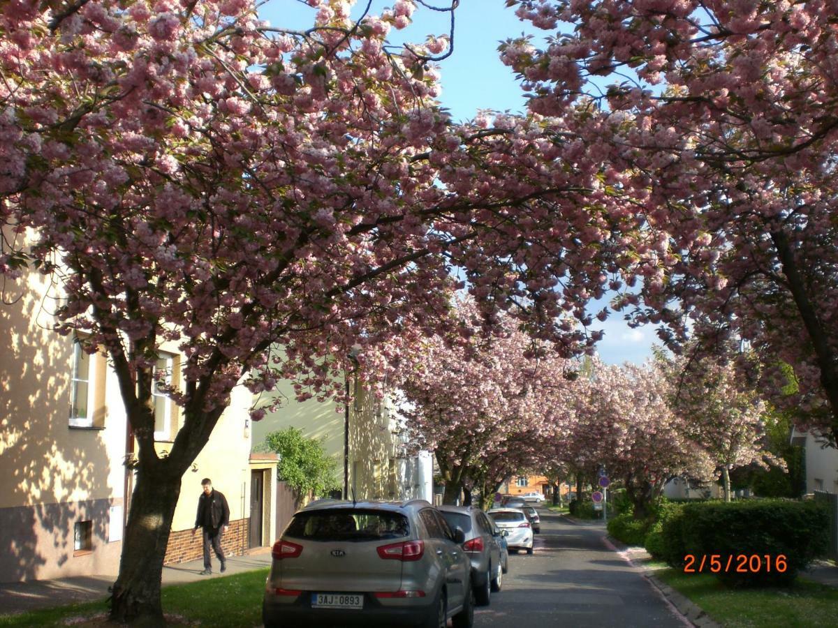 Kalik Pensionat 2*
